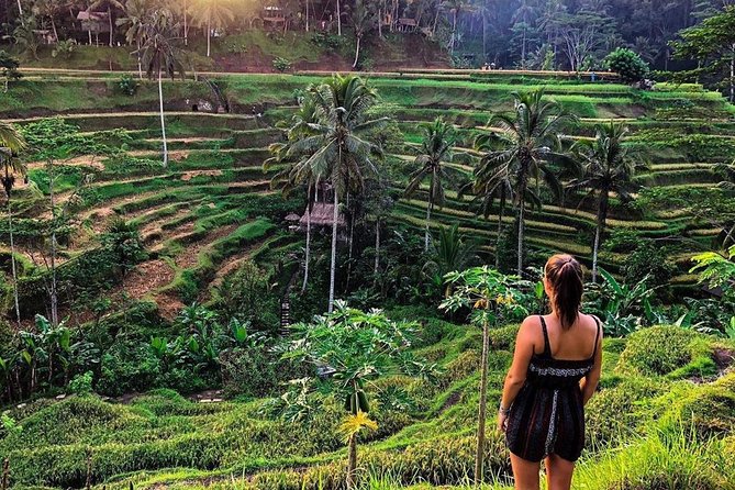 Private Bali Tour: Wonderful Ubud with Swing - Tegalalang Rice Terrace: scenic views in 45 minutes