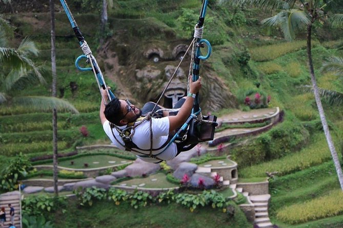 Private Bali Tour: Wonderful Ubud with Swing - Sacred Monkey Forest: temples, trees, and lively animals