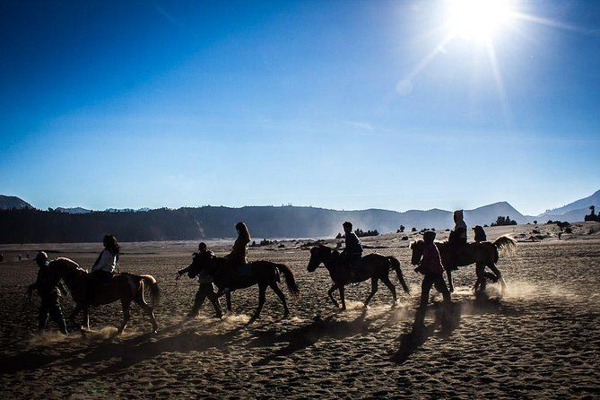 Private Bromo Sunrise Tour (All included) - Sunrise Over Bromo and the Sea of Sand
