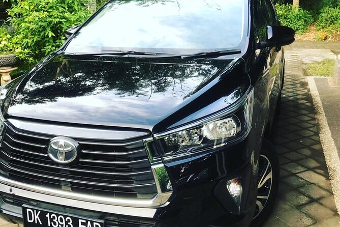 Private Car Charter in Bali with an English-speaking Driver - What the drivers add to the day
