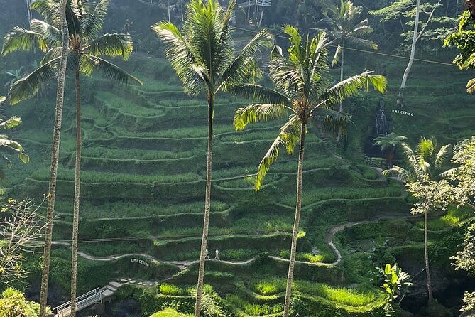 Private Car Charter Tour With Driver In Bali - Why a private car makes sense in Bali