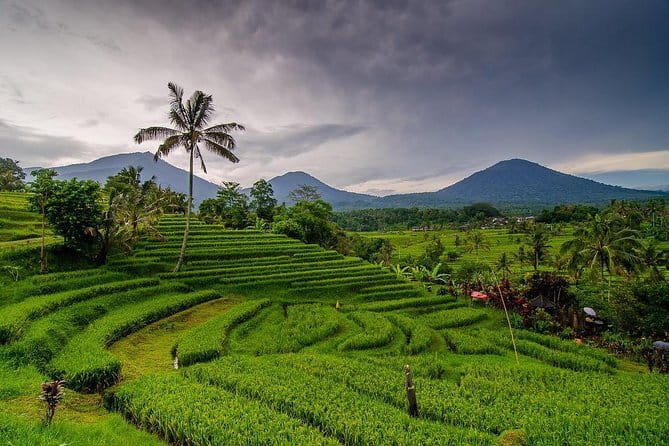 Private Chartered Car to Bali Temples With Besakih Temple - Why the private vehicle matters on this route