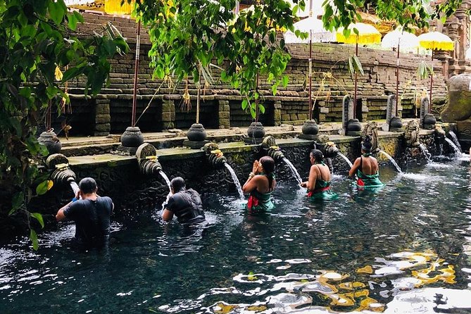 Private Custom Tour: 10-hour Tailor Made Tour of Bali - Building the right route from Ubud
