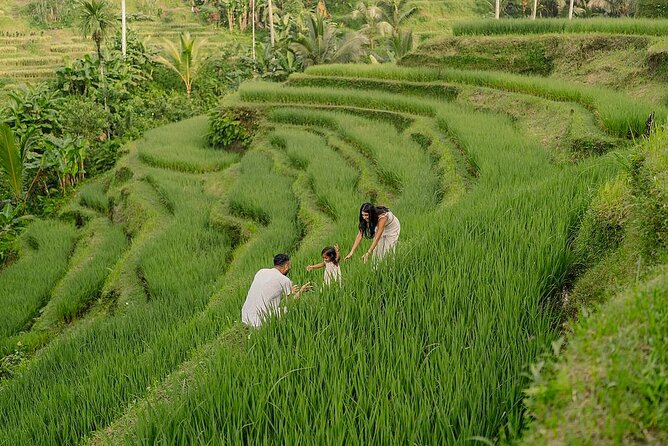 Private Customize Ubud Day Tour With Experienced Driver - Five useful things to know before booking