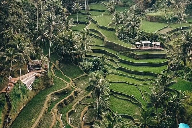 Private Customized Tour with Local Guide - Transport, timing, and comfort on a long day