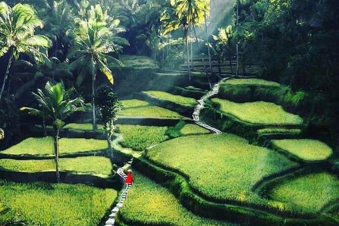Private Customized Tour with Local Guide - Building a useful itinerary with Adi or Kadek