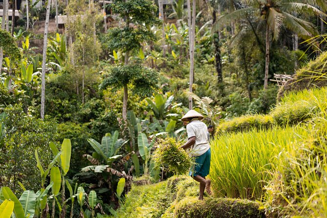 Private Customized Trip to Ubud - Puseh Batuan Temple Starts the Cultural Side