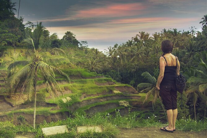 Private Customized Trip to Ubud - Tegenungan Waterfall Brings Water and Crowds of Photos