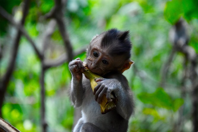Private Customized Trip to Ubud - Mas Carving Center Offers a Look at Woodwork