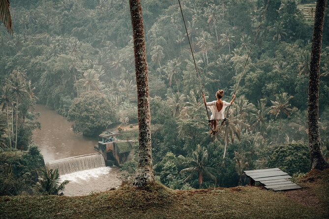 Private Customized Trip to Ubud - Aloha Ubud Swing Is the Big Optional Expense