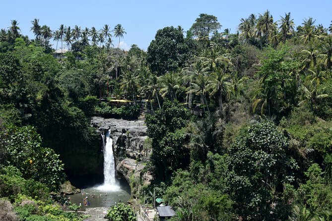 Private Customized Trip to Ubud - Your Driver Can Make or Break the Day