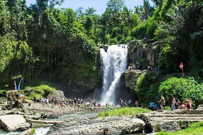 Private Day Tour: The Highlight of Ubud - Tirta Empul and Balinese purification