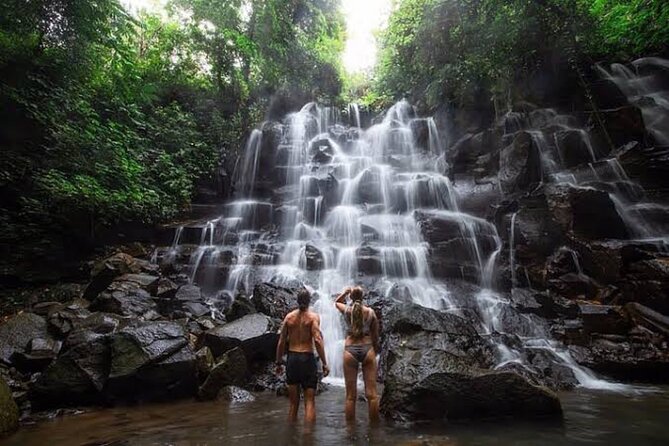 Private Day Tour To Waterfalls And Ubud Sightseeing - Key points to know before booking