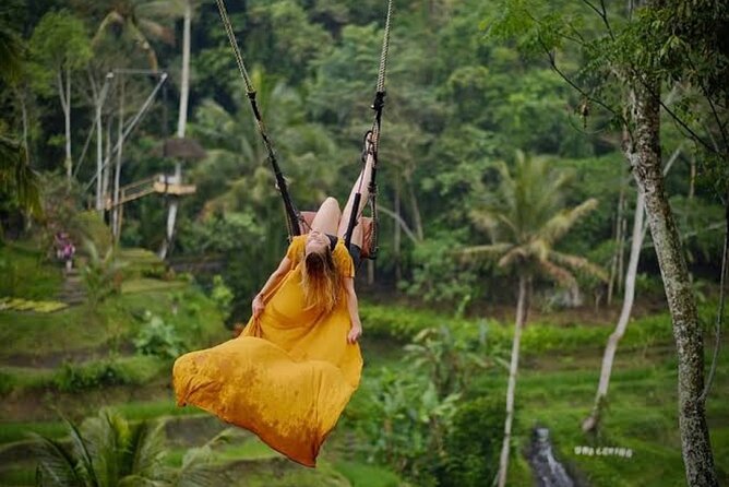 Private Day Tour To Waterfalls And Ubud Sightseeing - What the $42 price really covers