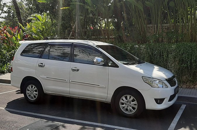 Private Driver in Bali with English Speaking - Coffee, tasting, and the sales question