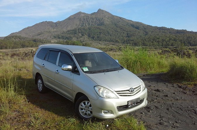 Private Driver in Bali with English Speaking - Ubud town with 90 minutes to explore