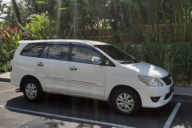 Private Driver in Bali with English Speaking - Tegenungan Waterfall in a short 40-minute stop