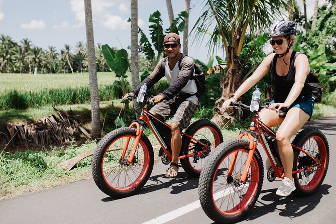 Private Fat Tire E-Bike Tour in Ubud - Why an e-bike makes sense around Ubud