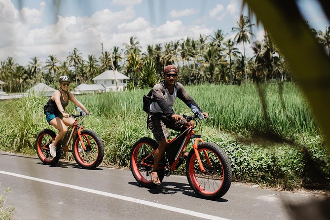 Private Fat Tire E-Bike Tour in Ubud - What the Tegalalang stop is really like