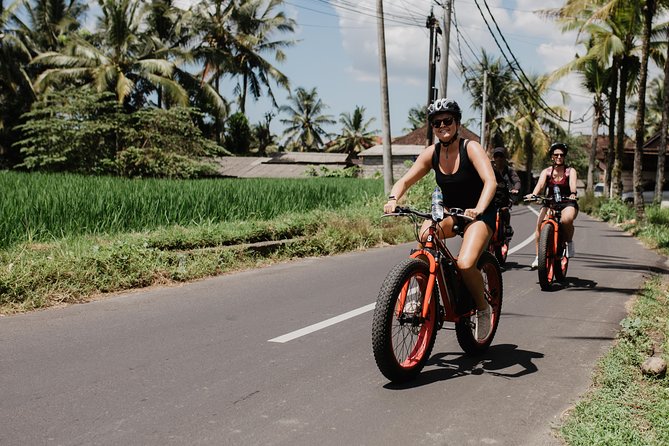 Private Fat Tire E-Bike Tour in Ubud - What is included, and one detail to clarify