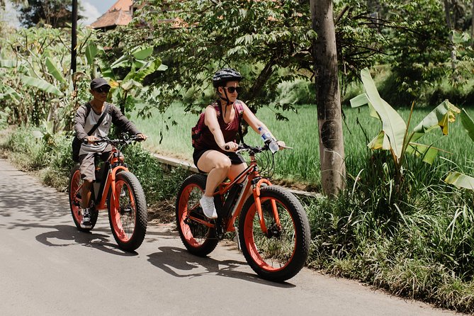 Private Fat Tire E-Bike Tour in Ubud - Practical preparation for a smoother ride