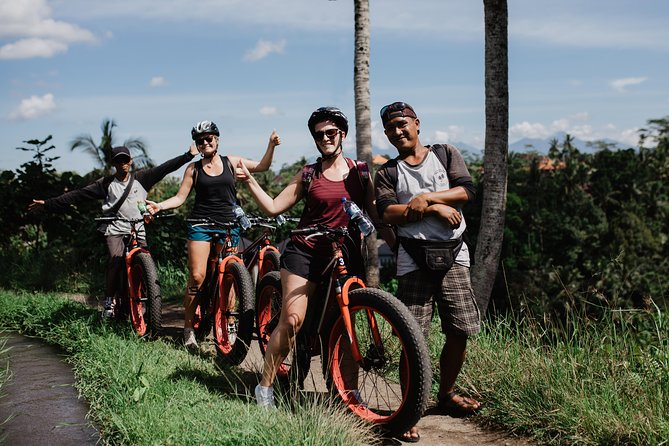 Private Fat Tire E-Bike Tour in Ubud - Choosing between rice fields, forest, and Ubud viewpoints