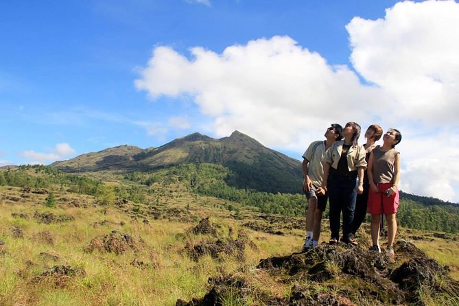 Private Full-Day Bali Sightseeing Tour with Pickup and Lunch - The private vehicle and guide service
