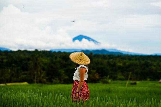 Private Full-Day Bali Tour - Tirta Empul and Bali’s purification ritual