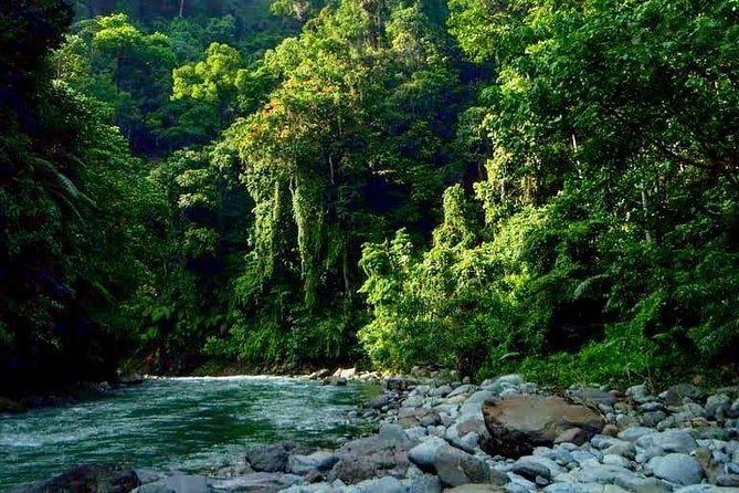Private Full-Day Bukit Lawang Trekking Tour From Medan - Jungle Lunch, Fruit, and a Midday Rest