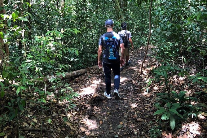 Private Full-Day Bukit Lawang Trekking Tour From Medan - What $128.21 Buys You