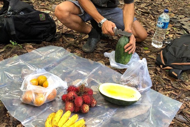 Private Full-Day Bukit Lawang Trekking Tour From Medan - Reliability and Booking Timing