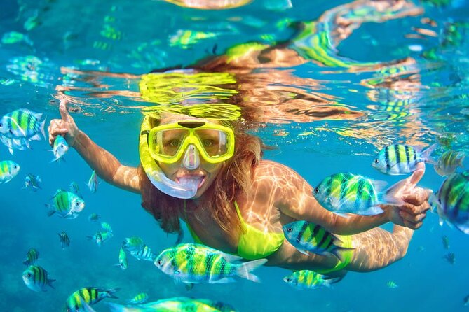 Private Full-Day Lovina Dolphin Watching and Snorkeling Boat Tour - Ulun Danu Beratan, Bali’s scenic temple stop