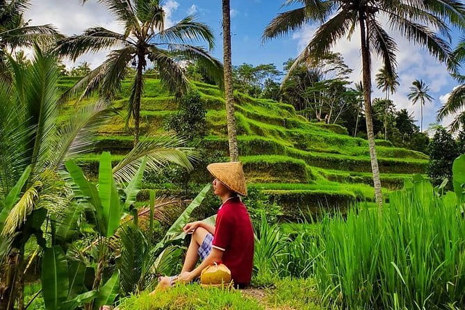 Private Full - Day Nusa Penida Island Tour - Kelingking Beach is the signature stop