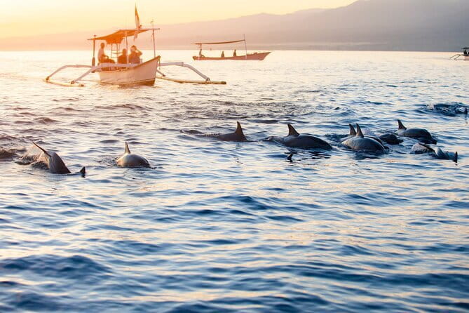 Private Full - Day Nusa Penida Island Tour - Is $89 a fair price?