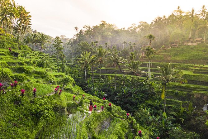 Private Full-Day Tour: Balinese Temples and Rice Terraces - Transport, timing, and route flexibility