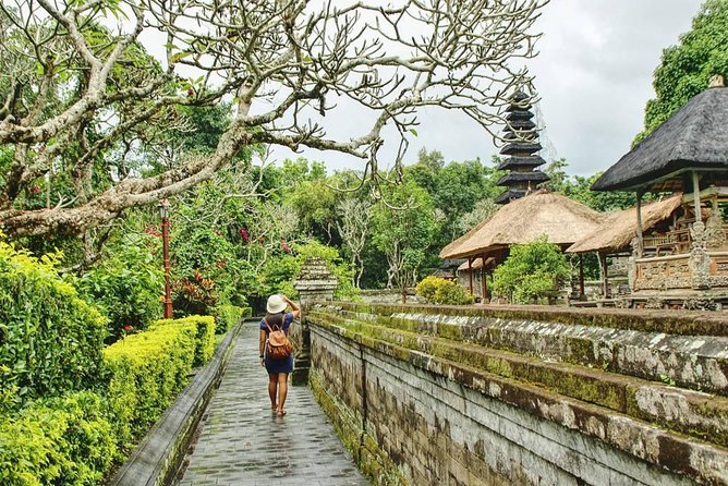 Private Full Day Tour: Best UNESCO Sites in Bali - The private driver makes the difference