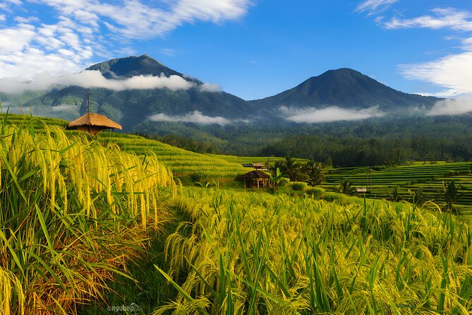 Private Full-Day Tour: Discover The Best of Bali Destination - Why this route works for a first look at Bali