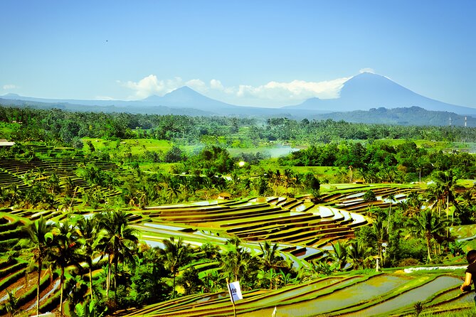Private Full-Day Tour: Discover The Best of Bali Destination - Penatahan Hot Springs: the day’s best pause