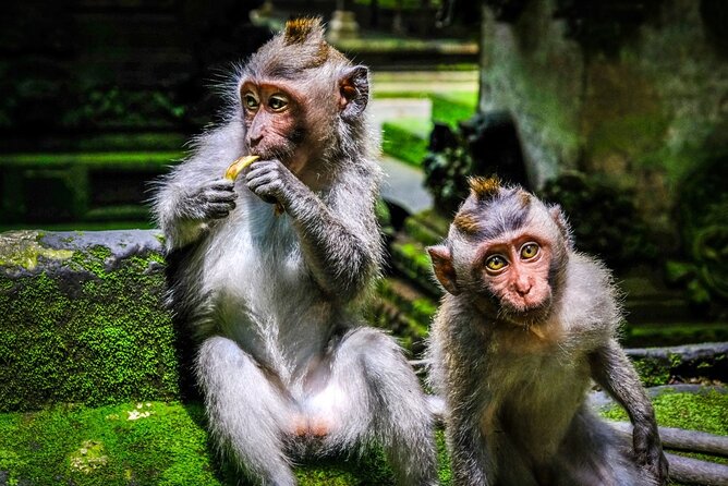 Private Full Day Tour In Ubud Bali - Tegenungan Waterfall, the day’s longer outdoor stop