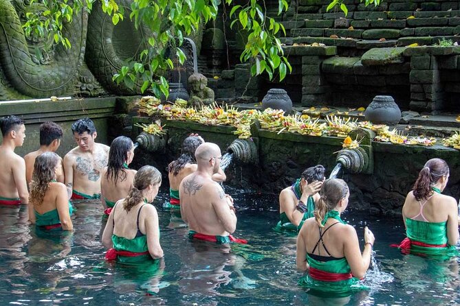 Private Full Day Tour In Ubud Bali - The driver can make or break the experience