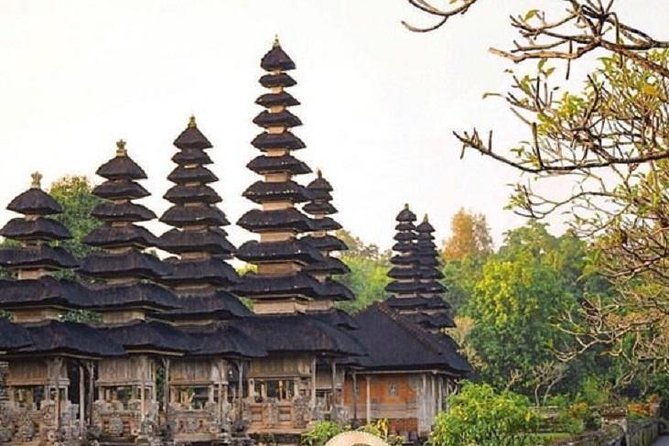 Private Full-Day Tour Jatiluwih Rice Terrace and Tanah Lot Temple - The guide makes or breaks the day