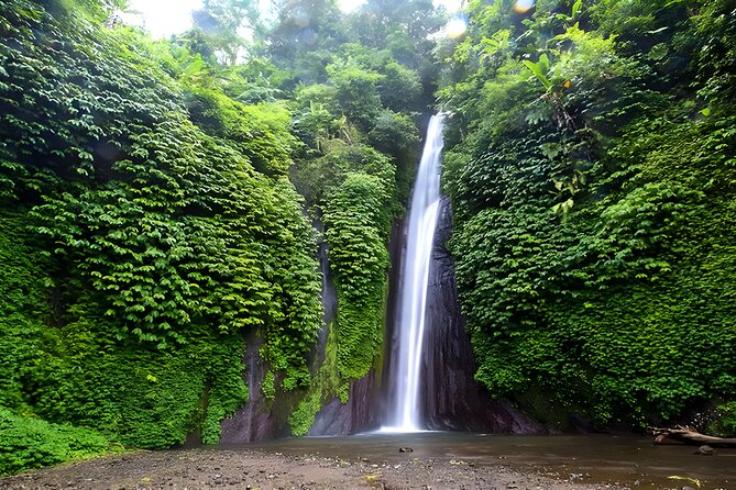 Private Full-Day Tour : North Bali Trip to Discover The Culture of Bali Island - Handara Iconic Gate, Bali’s classic photo stop