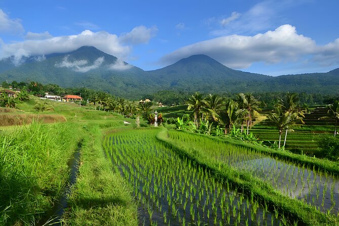 Private Full-Day Tour: Ulun Danu Beratan Temple, Jatiluwih and Tanah Lot Temple - Why this route works from Seminyak
