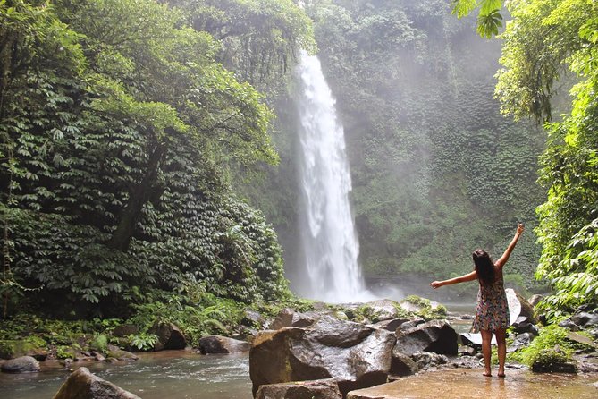 Private Full-Day West Bali Tour with Waterfall Visit - Is $67 a fair price for this full-day outing?