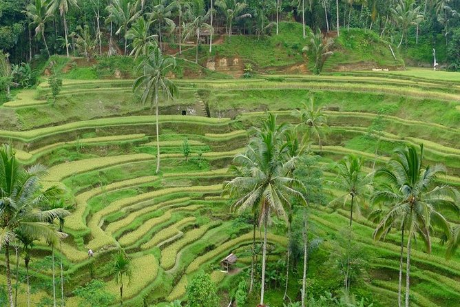 Private Inclusive Tours: 2 Days highlight of Bali - Day one begins at Batuan Temple