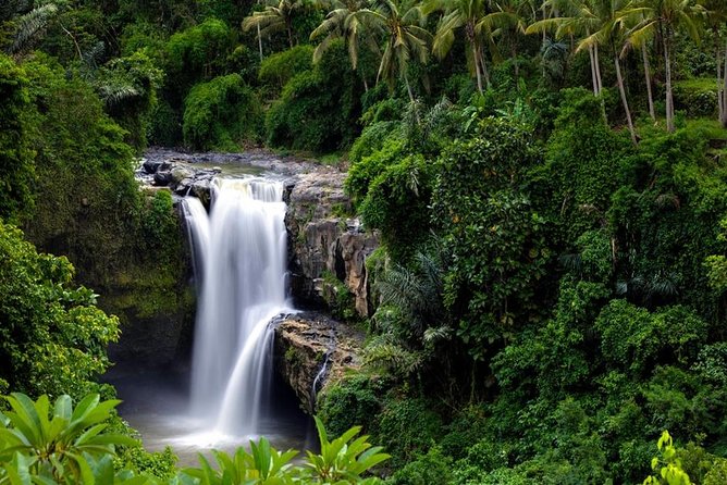 Private Inclusive Tours: 2 Days highlight of Bali - The Monkey Forest needs smart behavior