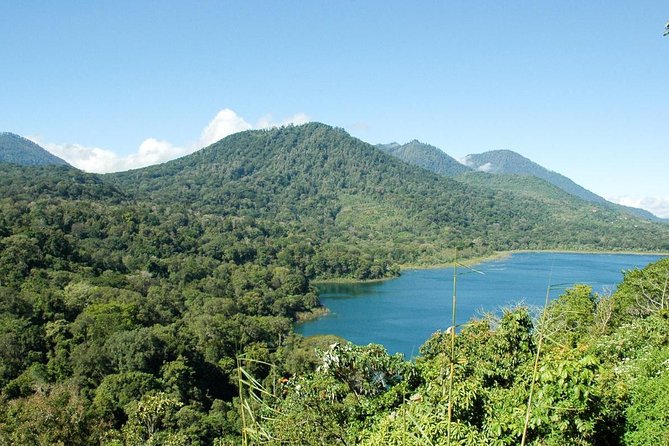 Private Jatiluwih Rice Terraces Heritage Site and Culture Tour - Why This Private Bali Day Trip Works