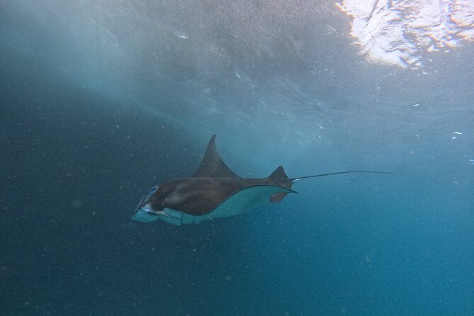PRIVATE Nusa Penida on Boat Snorkeling & Island Tour (INCLUSIVE) - Why the private car matters on Nusa Penida