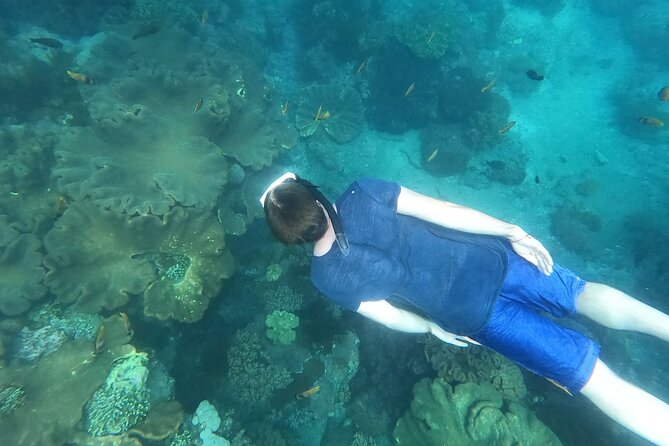 Private Nusa Penida Snorkeling Tour - How much value do you get for $157.84?