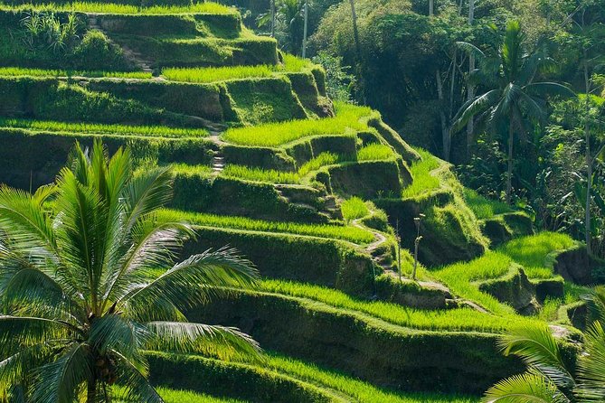 Private Shore Excursion: Customized Best of Bali Tour - Uluwatu Temple for cliffs and sunset